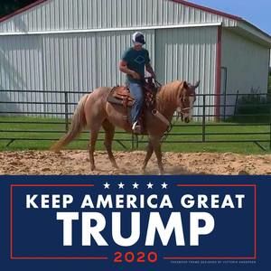 Meet your Posher, Lane